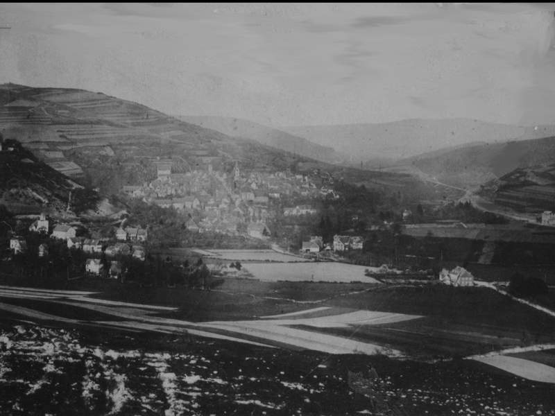 Historische Aufnahme von Spangenberg (1875?) vom Malsberg auf die Stadt
